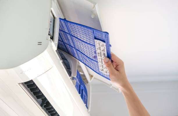 Best Air Duct Mold Removal  in Walters, OK