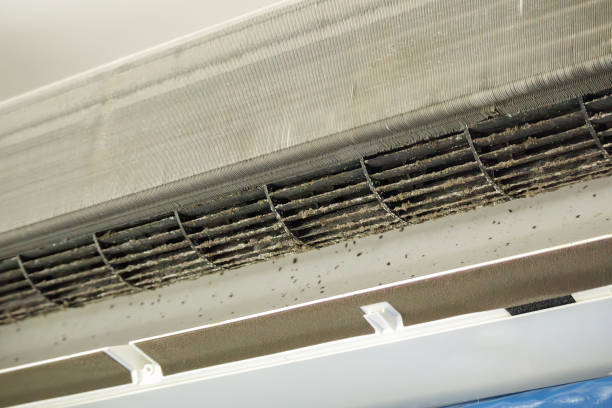 Best Ductwork Cleaning Services  in Walters, OK